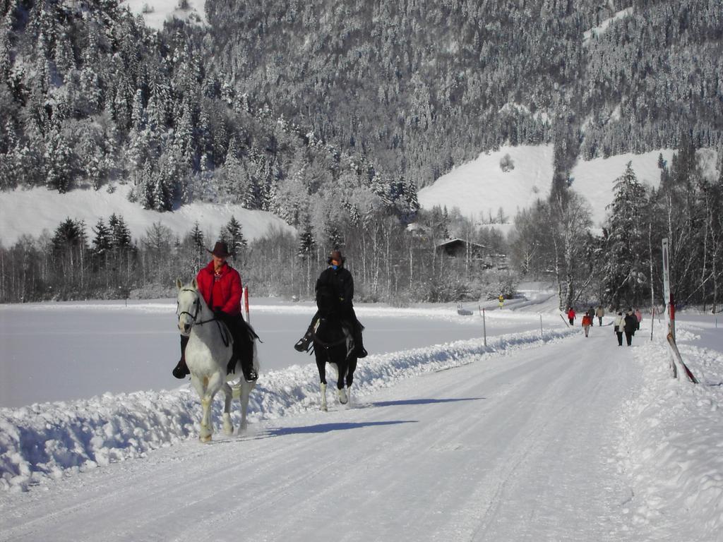 Bergheim Komfort Ferienwohnungen Walchsee Esterno foto