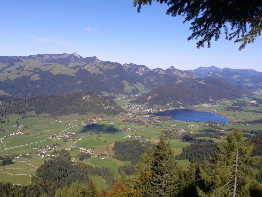 Bergheim Komfort Ferienwohnungen Walchsee Esterno foto